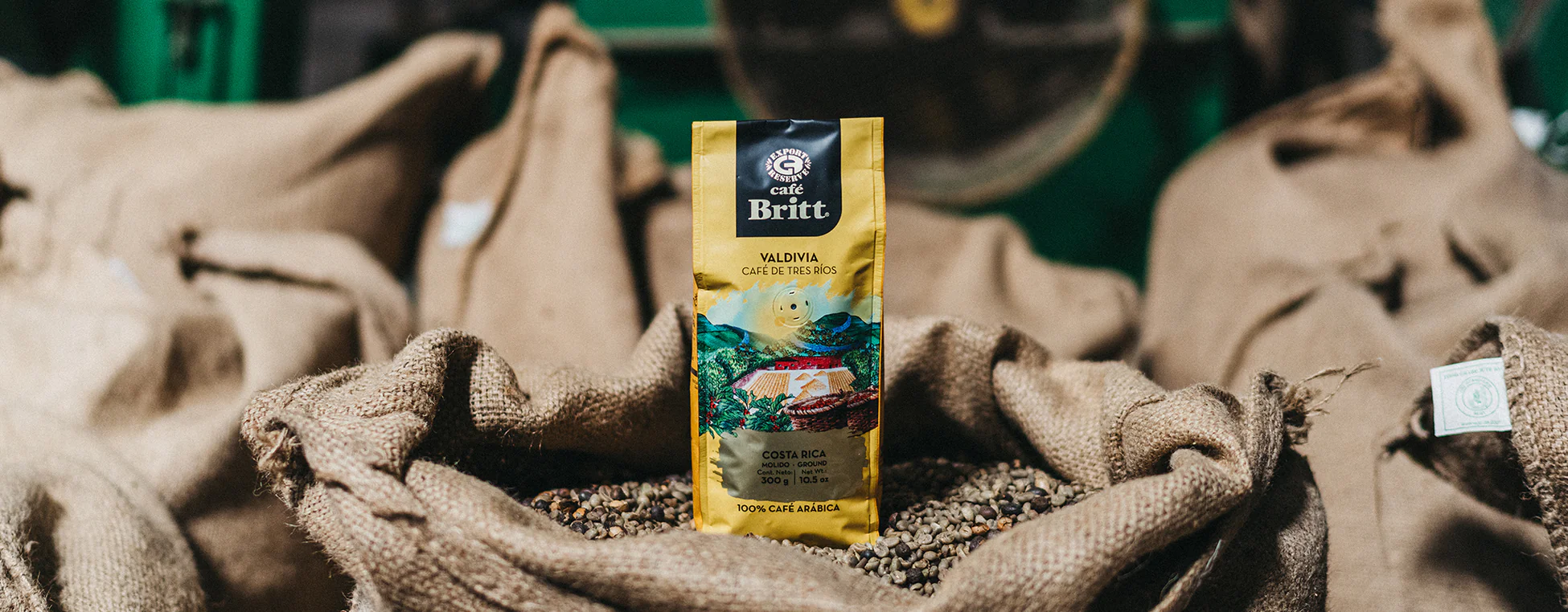 Savor Costa Rican Gourmet Excellence